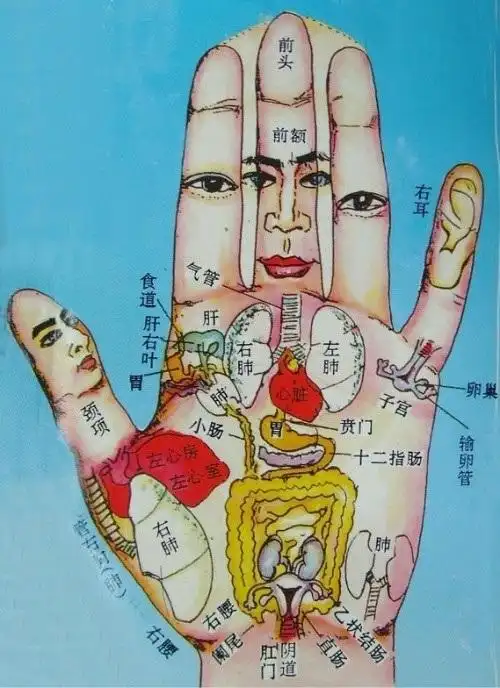 中医理论认为,**是一个有机的整体,每一局部都与全身脏腑,经络,气血有