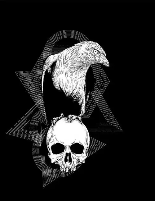 乌鸦与骷髅头插画矢量图素材