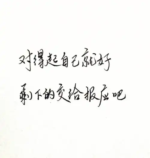 对得起自己就好剩下的交给报应吧