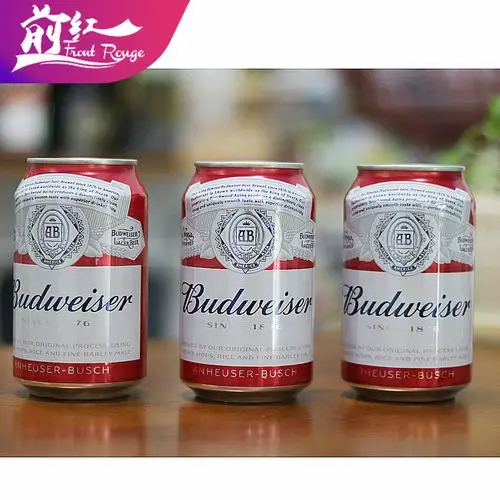 百威啤酒罐装百威330ml*24听装 整箱装 江浙沪皖包邮前红