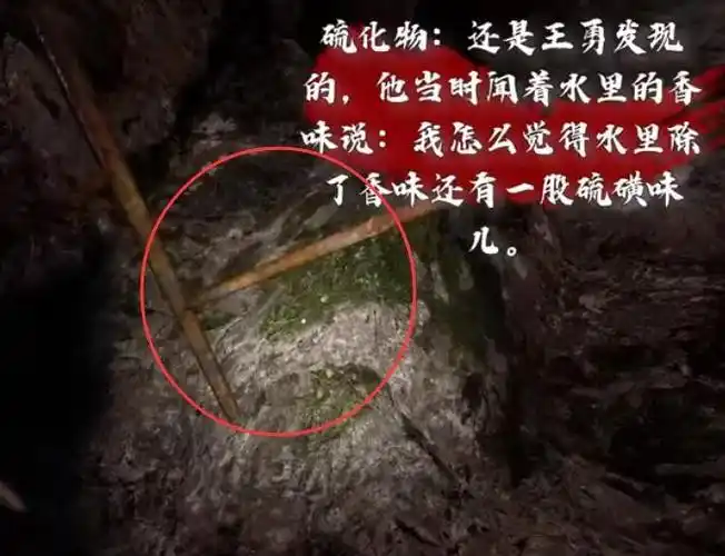 孙美琪疑案故事工地分尸案硫化物