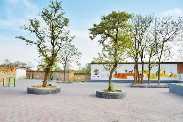 西竖镇程阳村的孩子们在小游园玩耍