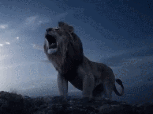 840_623gif 动态图 动图