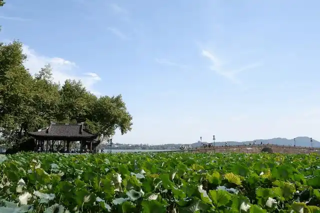 它是杭州西湖的一道风景线.这是一个连接山路和白色堤防的地方