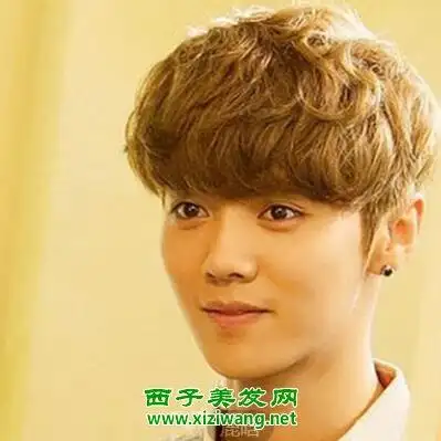 男士亚麻棕色发型图片 男生如何扎亚麻棕色发型帅气(3)_男生发型_西子