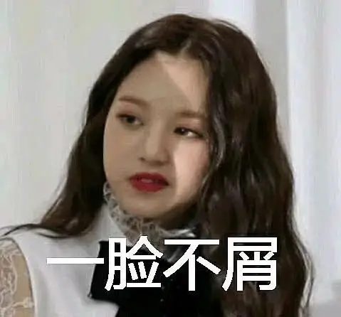 分享女团表情包