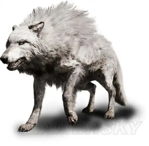 恐狼(smilodon fatalis)sabertooth cat剑齿虎(mammuthus primigenius