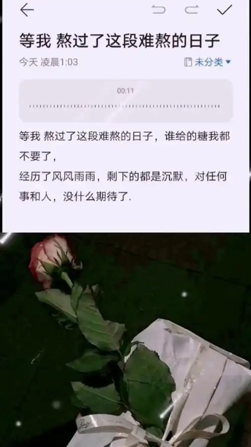 等我 熬过了这段难熬的日子,谁给的糖我都不要了,经历了风风雨雨,剩下