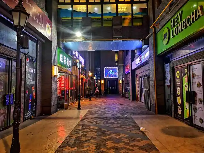 它是西宁市最漂亮的步行街,夜晚灯光璀璨,就是冬天游客少了点