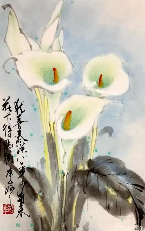 每周一画之马蹄莲