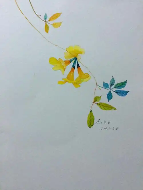 水彩 手绘 绘画 色彩 速写 速涂 艺术 小清新 艺术 涂鸦 可爱 花)