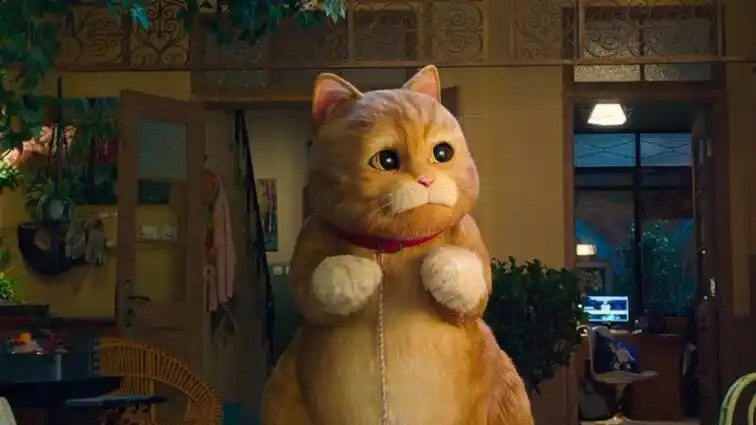 电影喵星人混剪,西米鲁变身呆萌犀犀利,这喵星球勇士真不容易啊