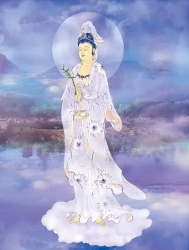 莲花 佛禅 观世音菩萨 观自在菩萨