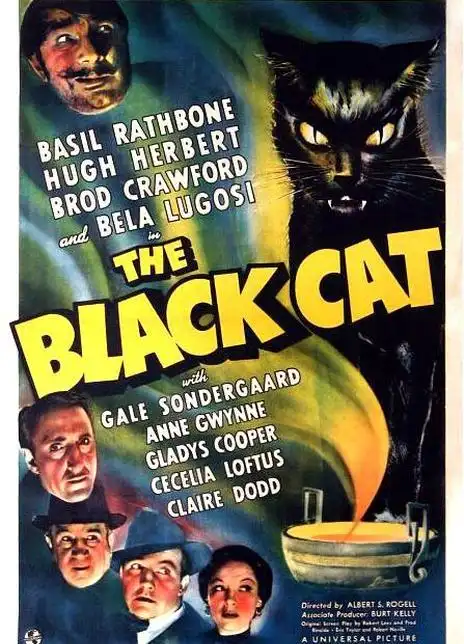 黑猫_购票_剧情介绍_演职人员_图集_猫眼电影