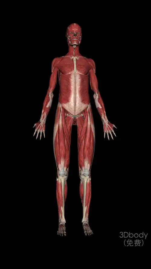 重口味医生的相册