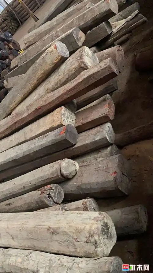 尼泊尔小叶紫檀红木 - 批木网