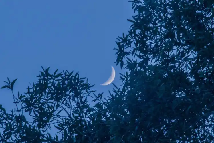 残月