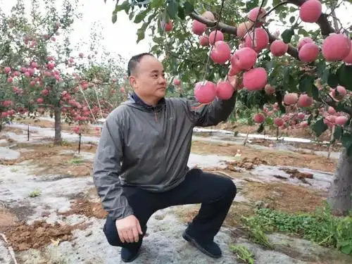 主题:鲜丰水果创始人韩树人荣获"品质杭商"!