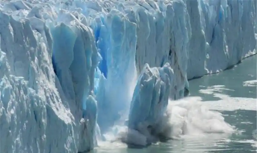 南极冰川持续融化,出现了不该有的东西,科学家称应引起人类警惕_大陆