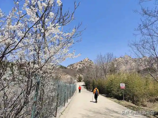 再爬青岛小珠山一昨天天我和老公趁着还是淡季的票价