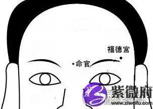 如果一个人的福德宫部位生的瘦弱无肉,有这样面相特征的人,可能会很