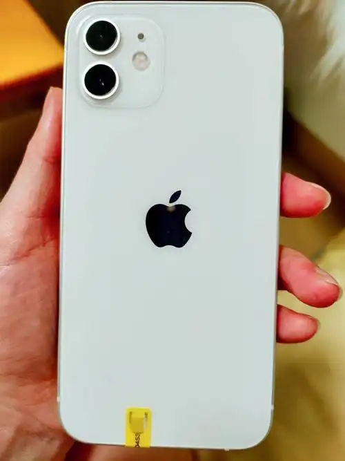 二手苹果12下车了吗