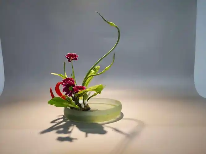 生活插花之餐桌花