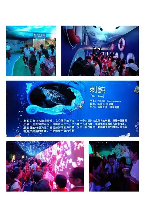 走进动物园,首先映入眼帘的是海洋馆.眼花缭乱的海洋生物让