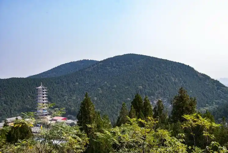 登山探寻徐州九里山古战场沧海桑田几千年寻觅当年的战争遗迹