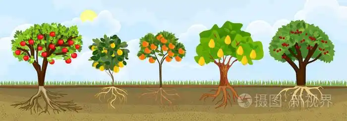 一套不同的卡通果树,成熟的水果和绿色的皇冠在花园里.