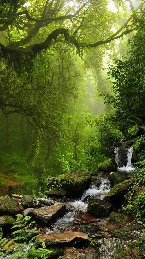 1080_1920竖版 竖屏