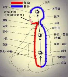 提踵颠足一起一落,振动全身经脉,疏通百脉,调和气血.