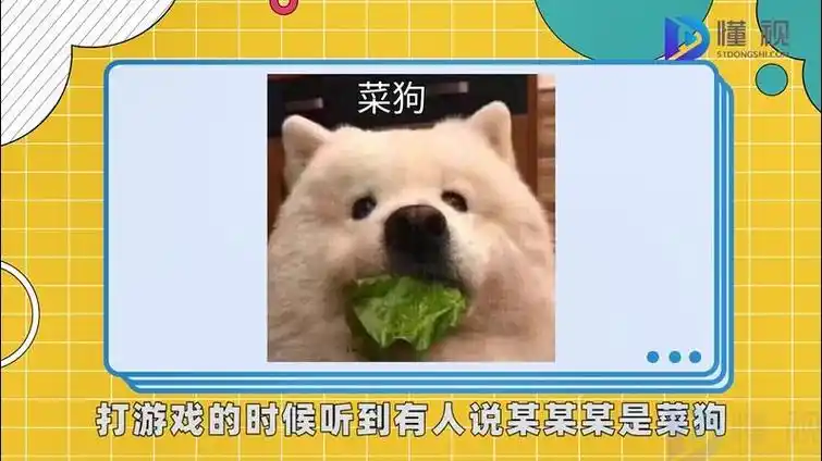 "菜狗"一词最开始是动漫游戏文化圈的嘲讽用语,用