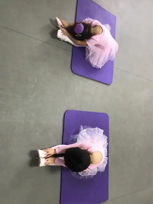 地面伸坐压前腿