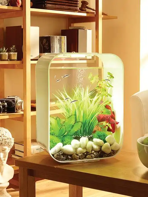 小型鱼缸装饰图片-海量高清小型鱼缸装饰图片大全 - 阿里巴巴