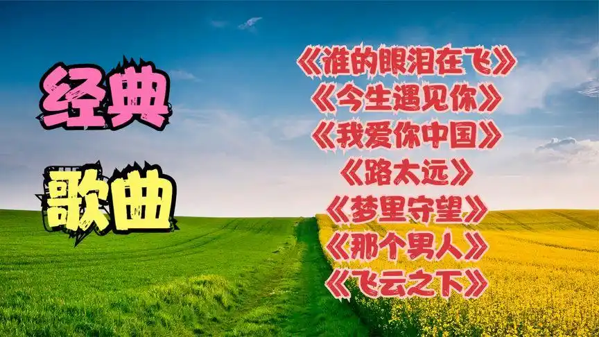 《谁的眼泪在飞》《今生遇见你》《我爱你中国》《路太远》