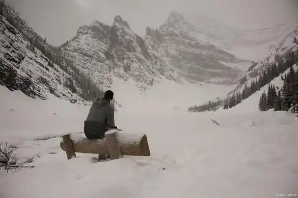 男子独自上山看雪发现冰封秘境