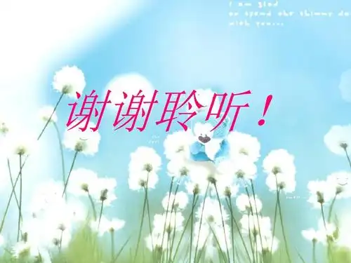 谢谢聆听!