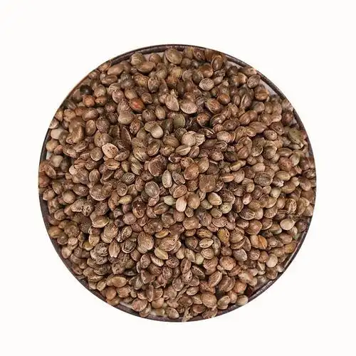 【亏本卖3天】中药材火麻子火麻仁/麻籽火麻仁 无硫新货 火麻仁1000克