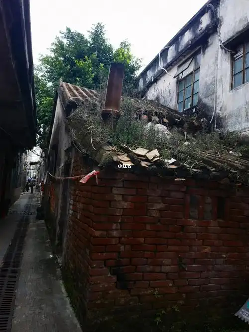 沙井华润金蚝小镇精品