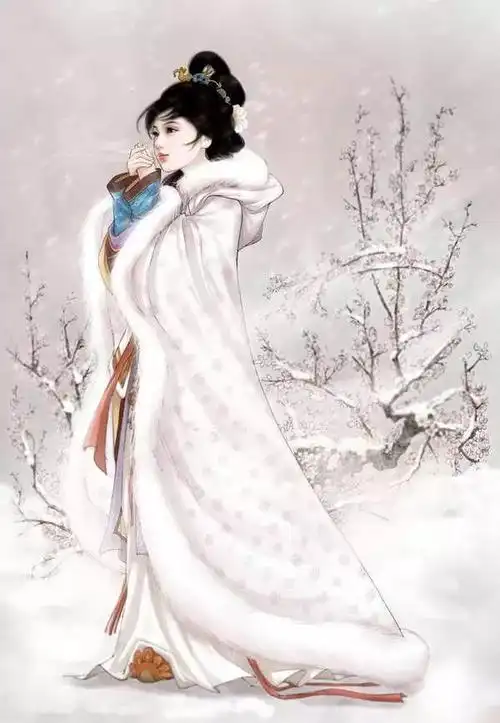 (一)薛宝琴的  《赤壁怀古》   下面,咱们就一起