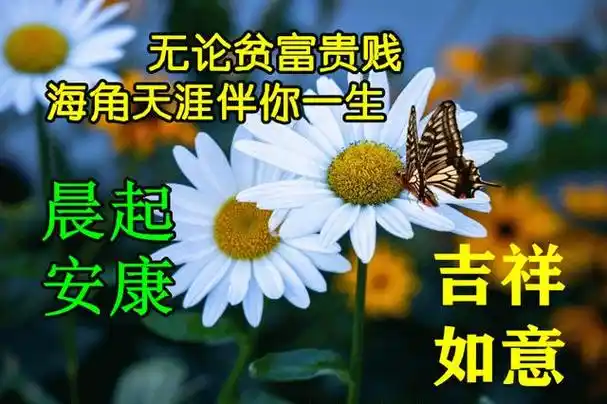 今天最新早上好问候语,早安早上好祝福图片带字温馨
