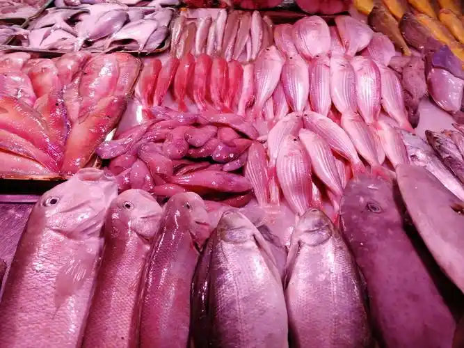 逛深圳蛇口海鲜市场