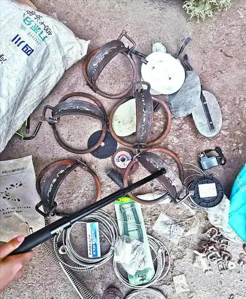 捕兽夹是一种猎人的工具,猎人可以利用捕兽夹,捕获野猪等野生动物.