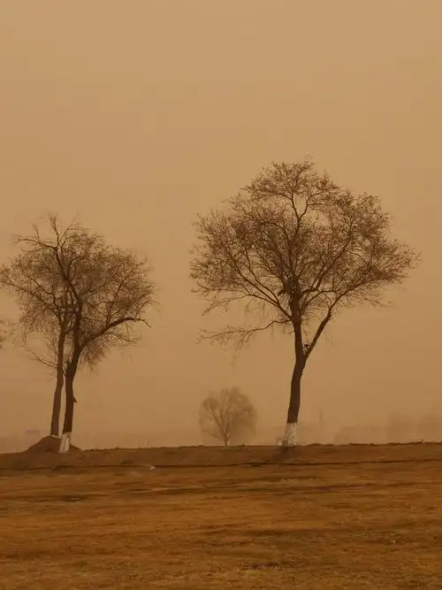 沙尘之下昨日漫天扬沙沧州大运河湾公园