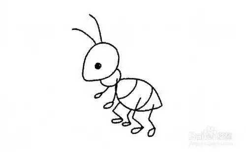 红蚂蚁如何简笔画