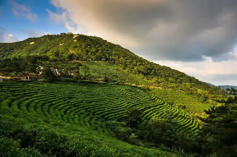 组图红安老君山无限风光在险峰