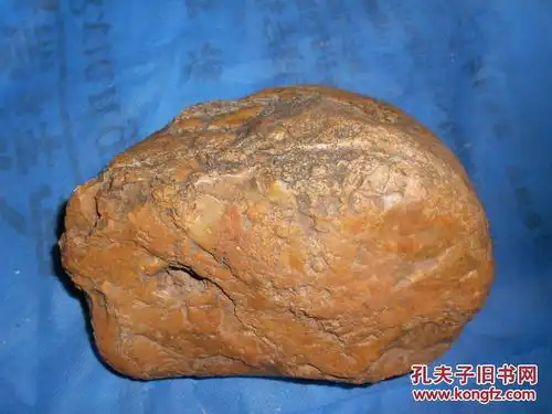 水冲硅化木树化玉原石约31公斤9号未经任何处理