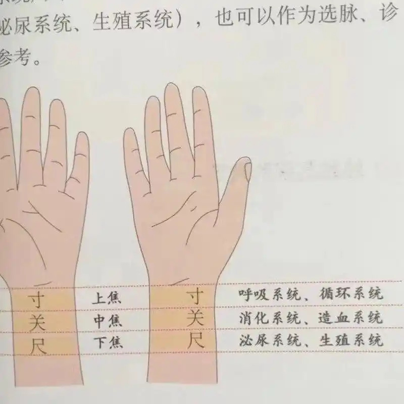 71如何把脉? 71怎么把脉才能感觉脉象?