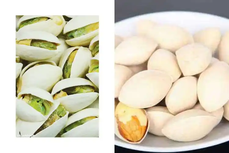 活动中我们知道了区分银杏果和开心果的方法,他们两个果仁的颜色不